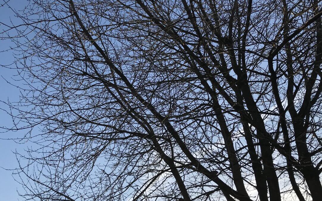 Surviving Blue Monday