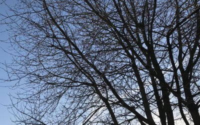 Surviving Blue Monday