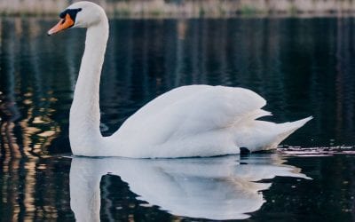 High Functioning Anxiety; When fear is the driving force