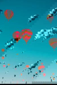 hot air balloons in the air