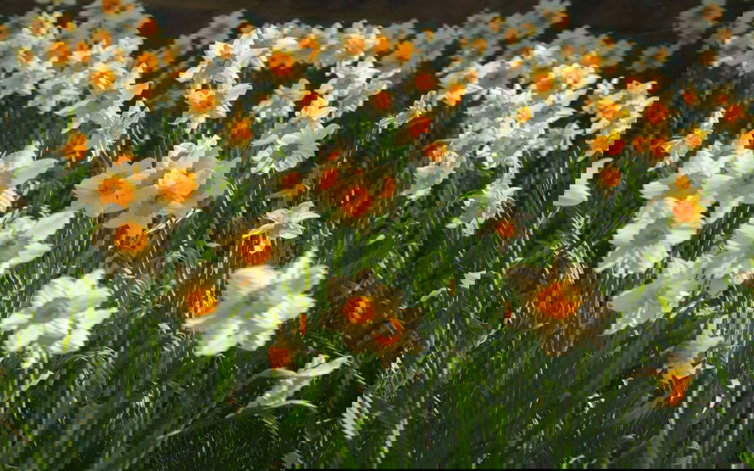 Time, Hope & Your Fertility Journey: Why April Matters for Those Dreaming of a 2025 Baby