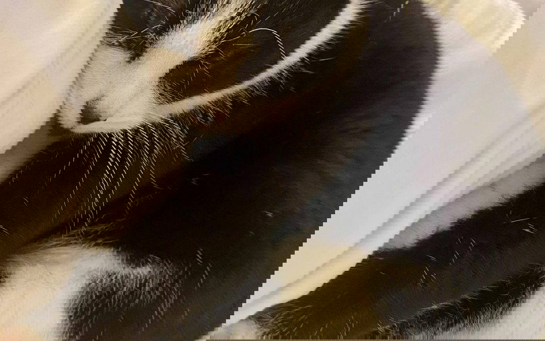 When You Desperately Want a Baby: The Things That Help You Cope and Why You Don’t Owe Anyone an Explanation