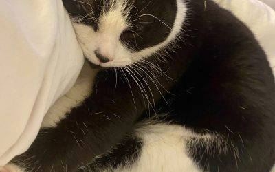 When You Desperately Want a Baby: The Things That Help You Cope and Why You Don’t Owe Anyone an Explanation